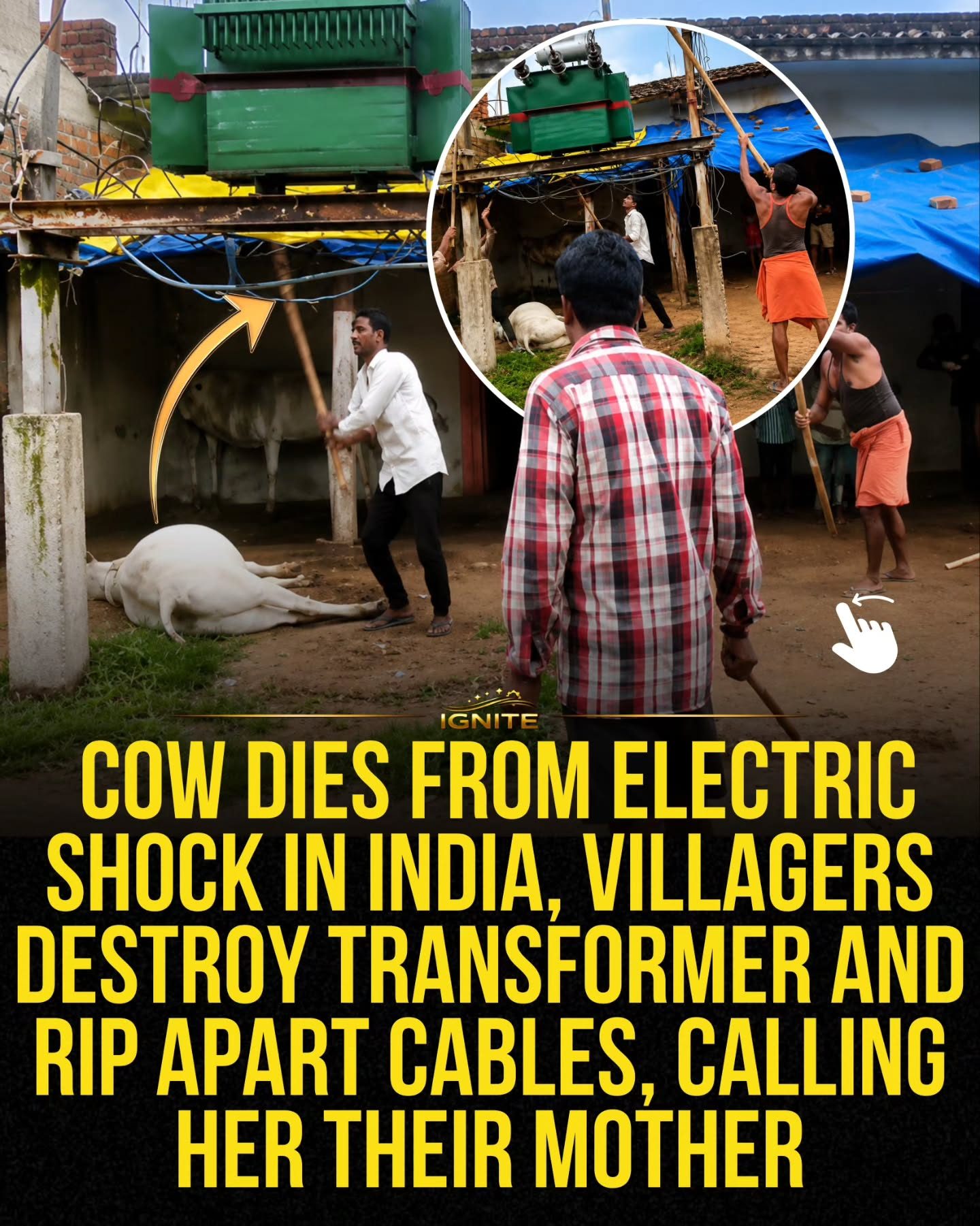 Villager rage after cow's electric shock death destroys transformer