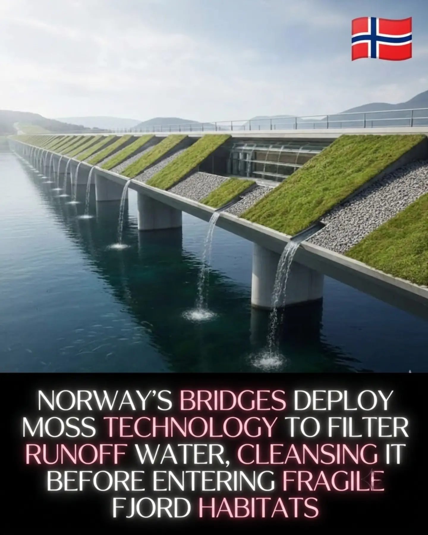 Norway's Moss Bridges: Protecting Fjords with Natural Filtration