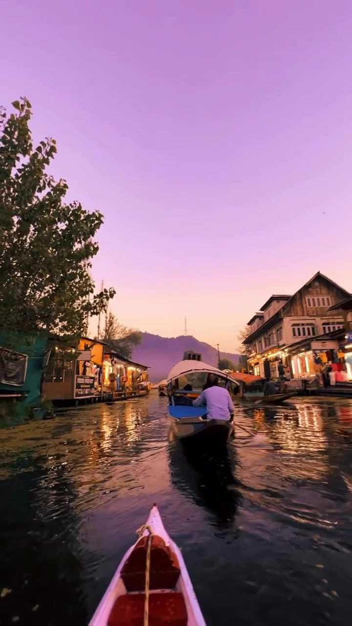 Meena Bazar Floating Market: Dal Lake Experience