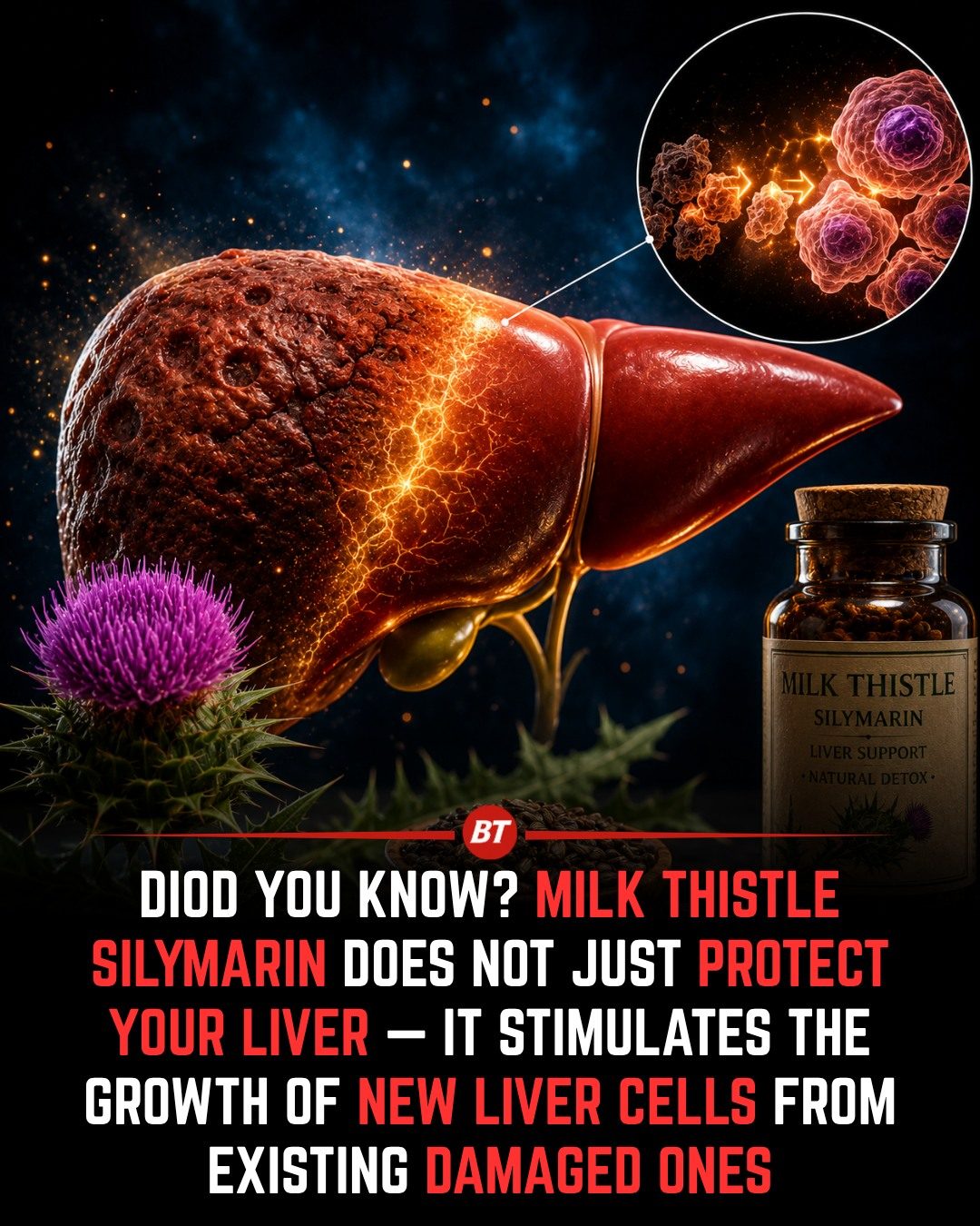**Milk Thistle and Silymarin: Natural Liver Support and Regeneration**