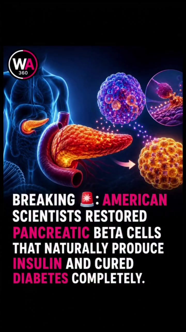 Restoring Hope: New Breakthrough in Diabetes Treatment