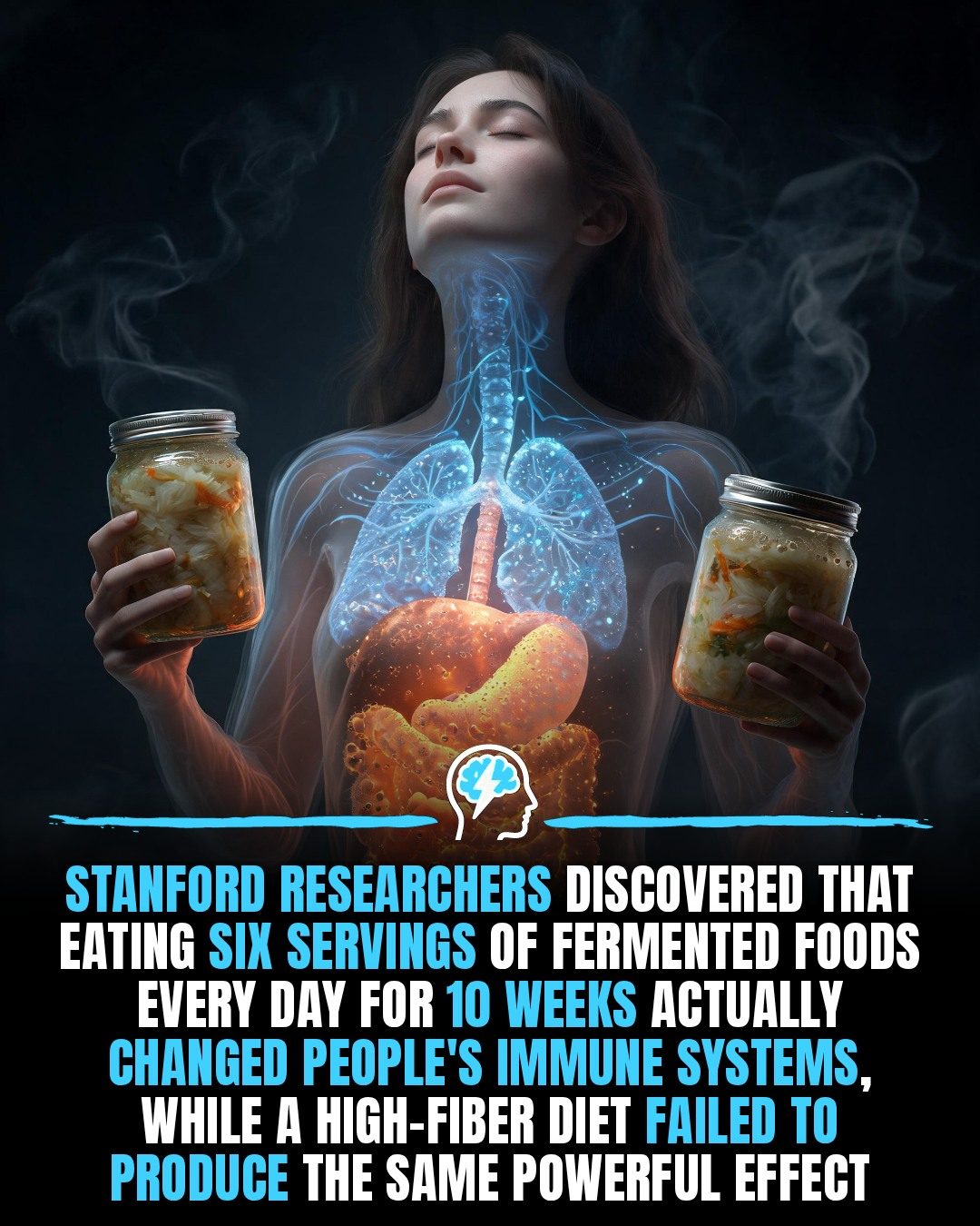 Stanford Study: How Fermented Foods Boost Immunity in 10 Weeks