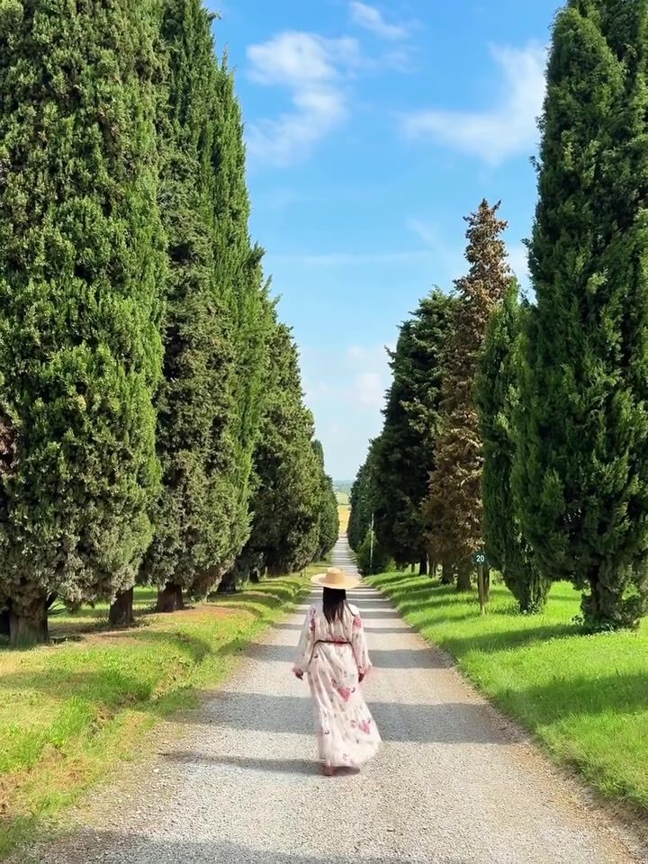 Elegant Scenic Walk in Parma, Italy