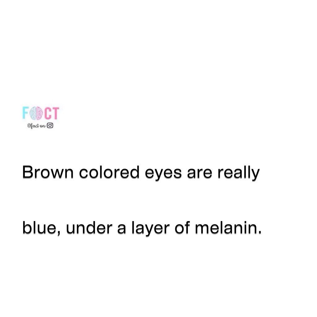 Eye Color Science: Why Brown Eyes Are Blue