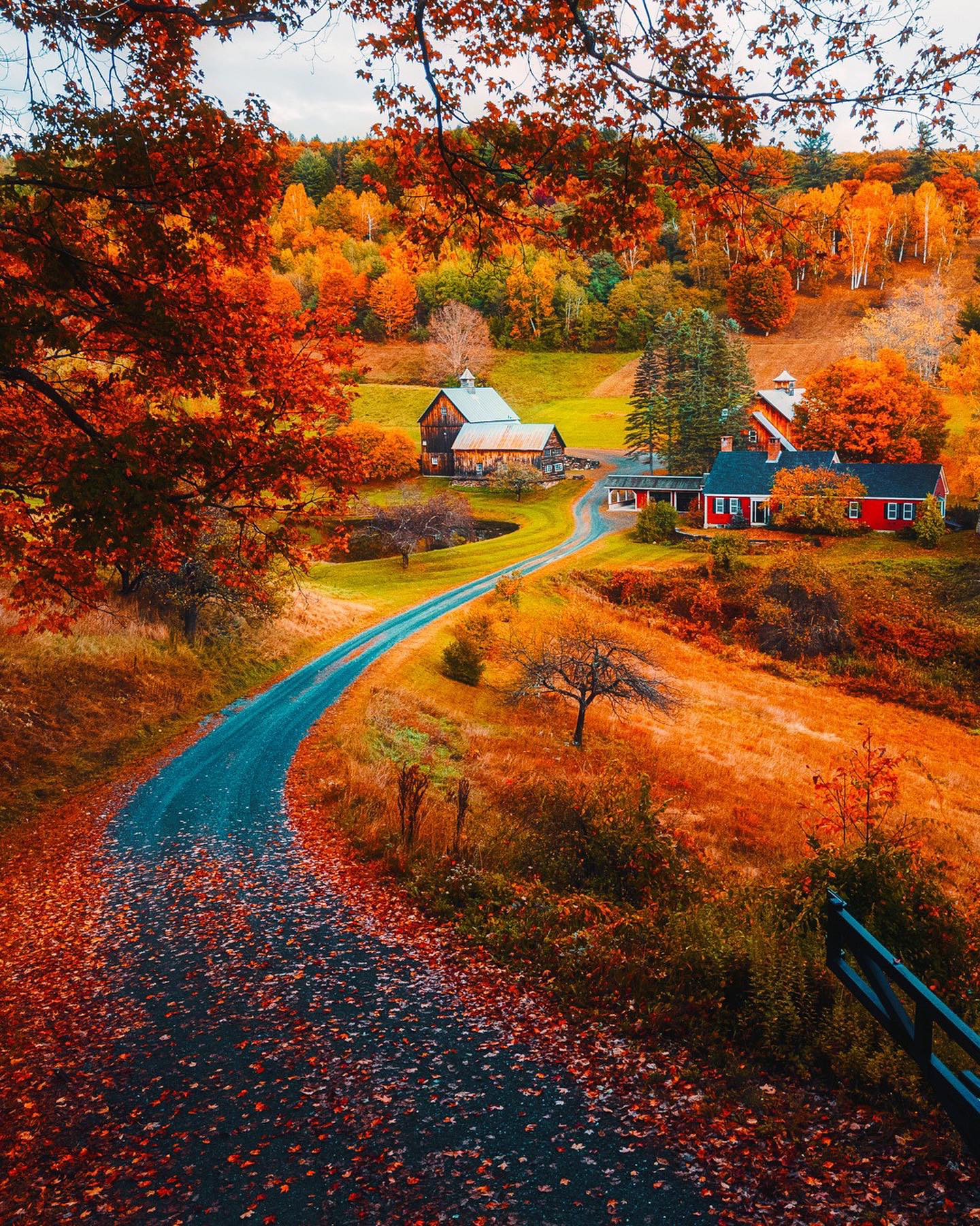 Autumn Foliage Landscape Photography