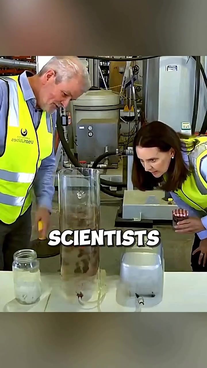 Australian Bacteria That Cleans Wastewater Naturally