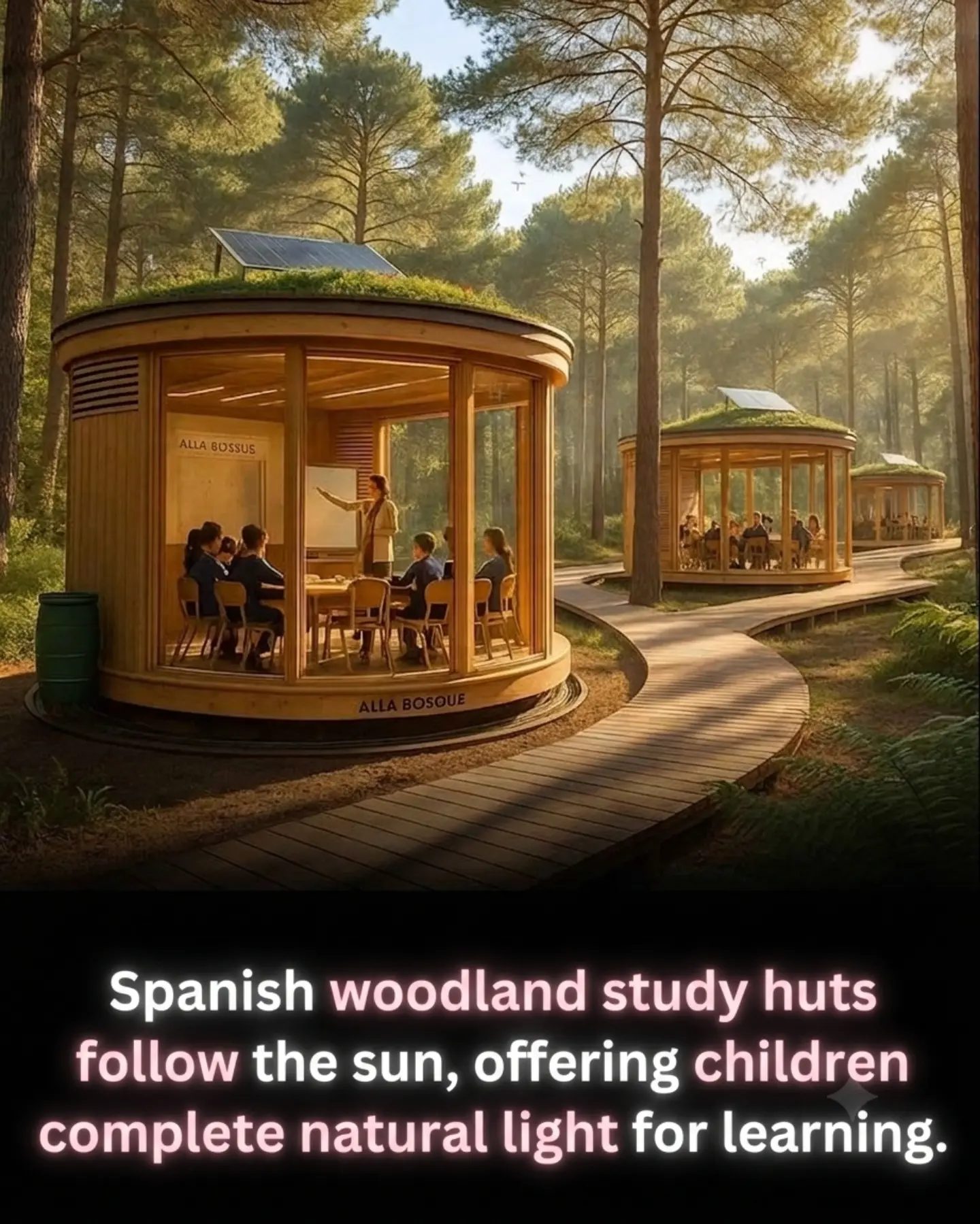 Alla Bosque: Spain's Rotating Forest Classrooms