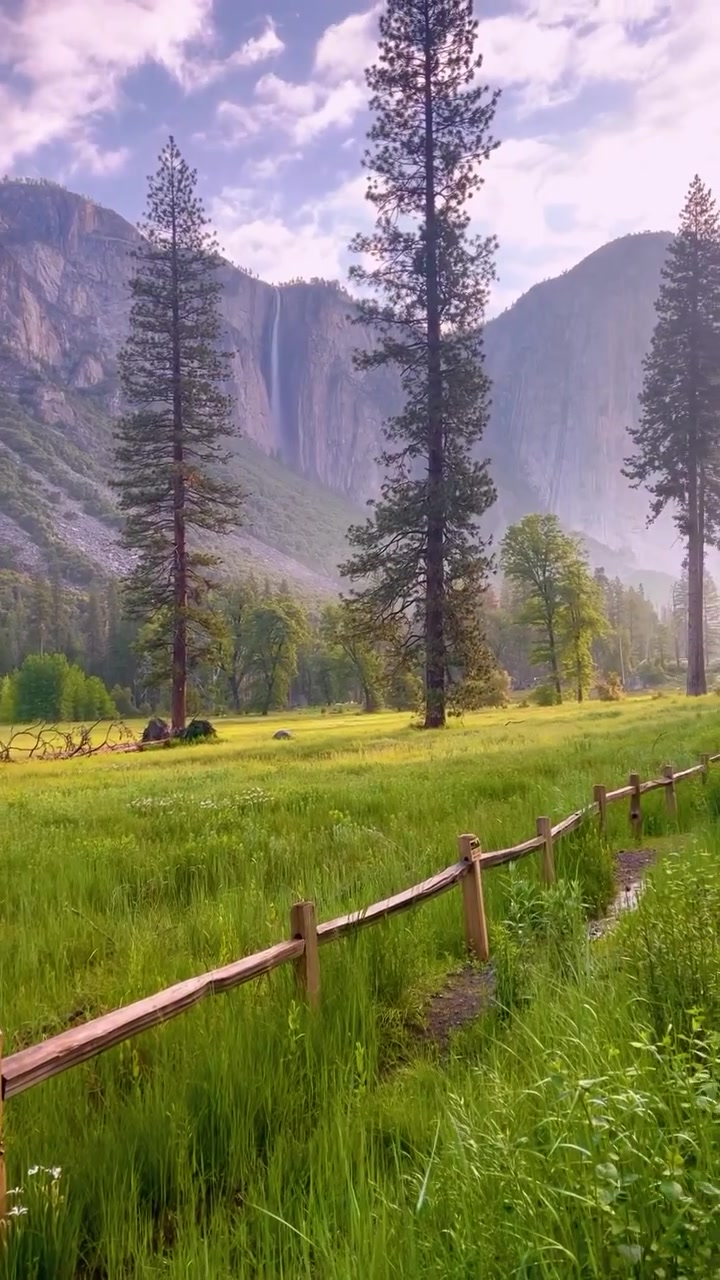 Vibrant Meadow Landscape with Waterfall