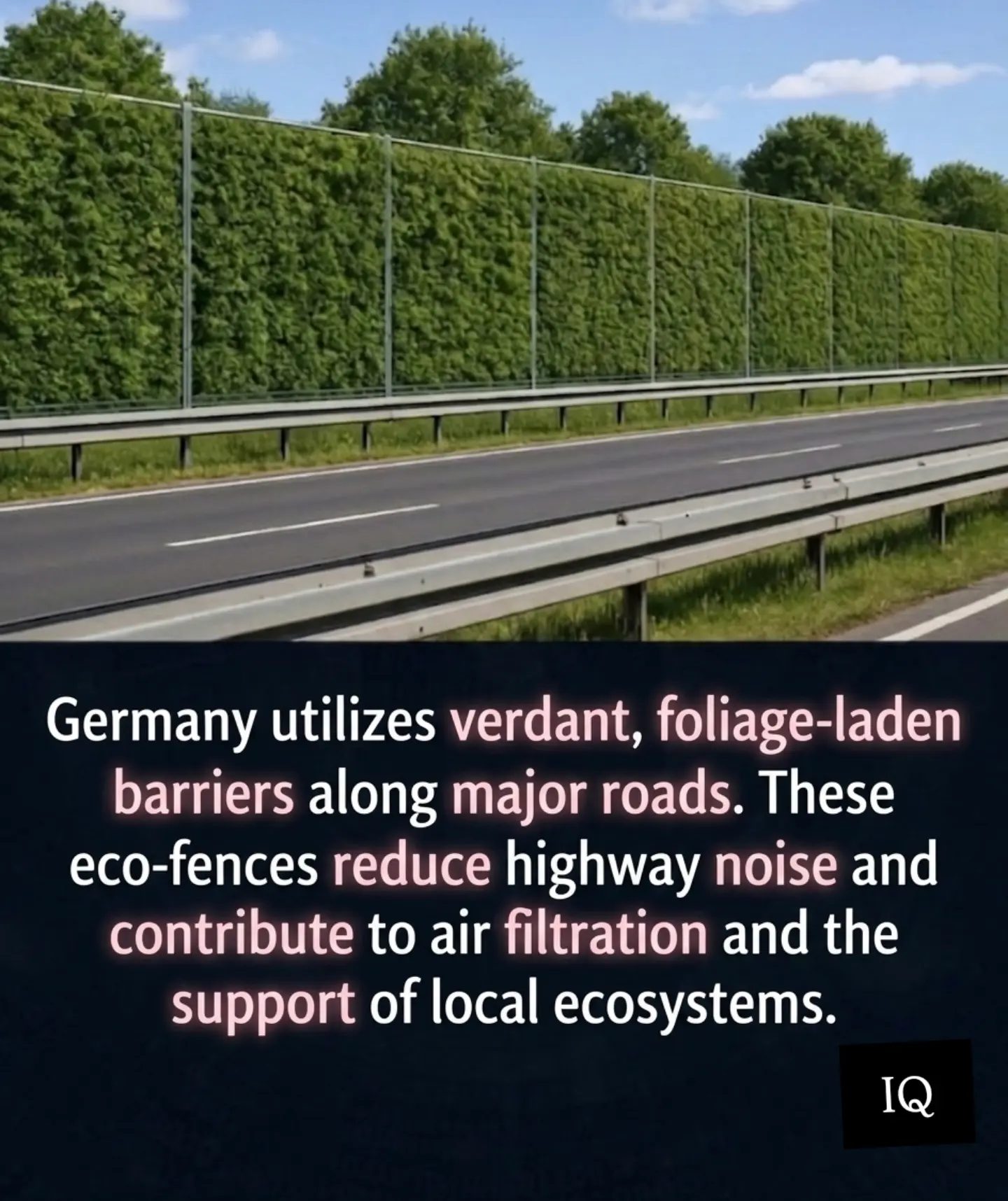 Germany's Green Highway Barriers: Noise Reduction and Eco Benefits