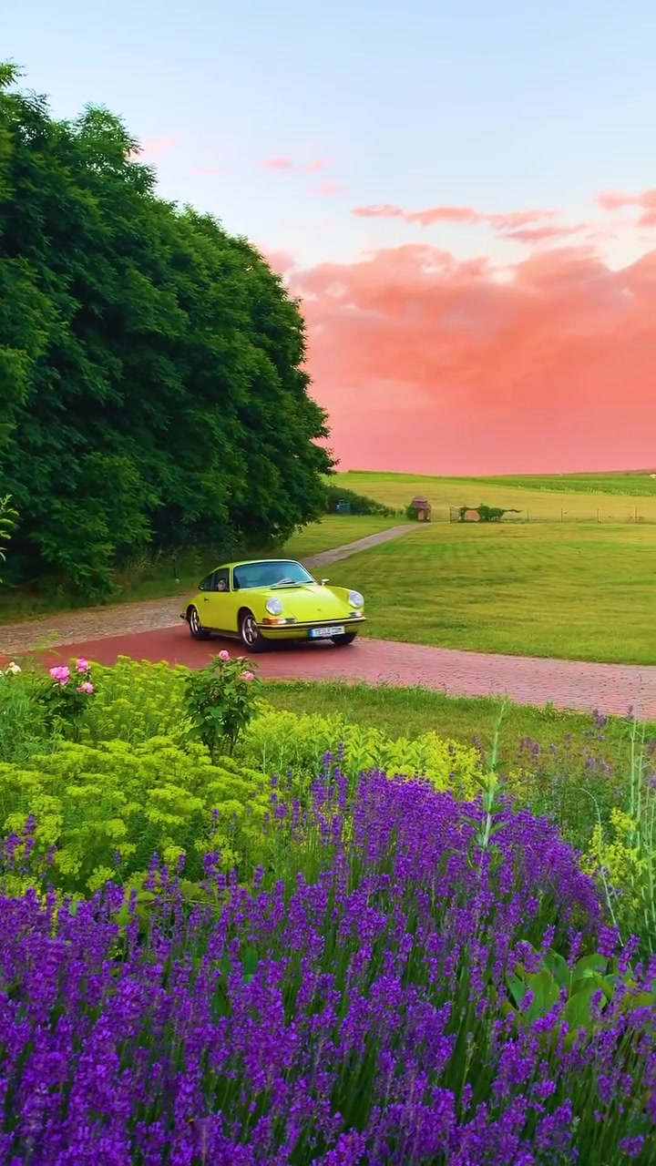Classic Porsche Scenic Drive: Sunset Road Trip