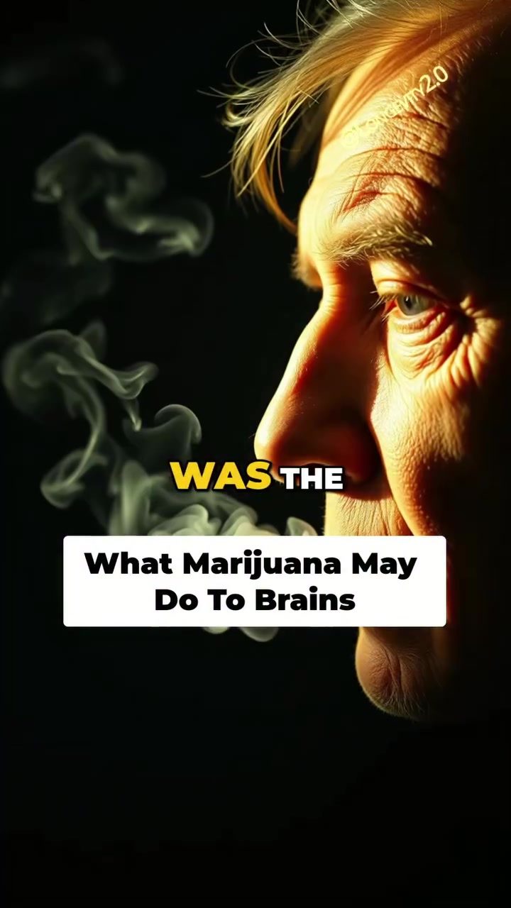 Marijuana's Impact on Brain Function and Mental Health