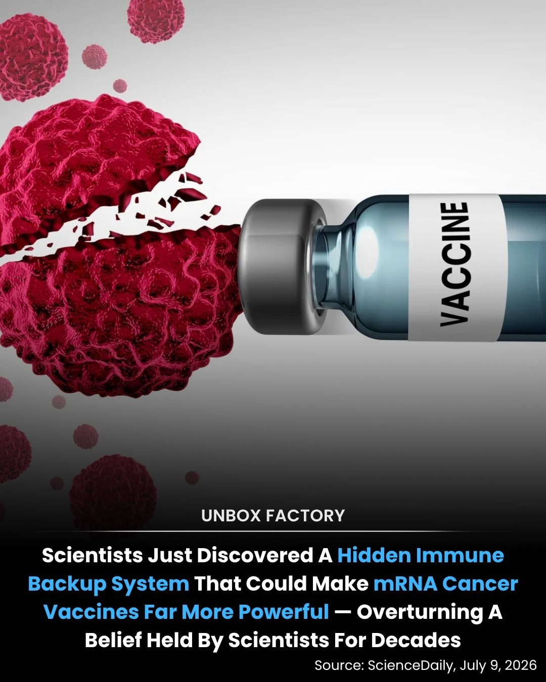 Hidden Immune Pathway Boosts mRNA Cancer Vaccine Potential