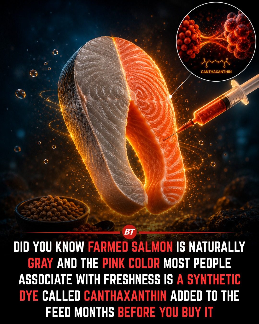 The Truth About Farmed Salmon's Pink Color