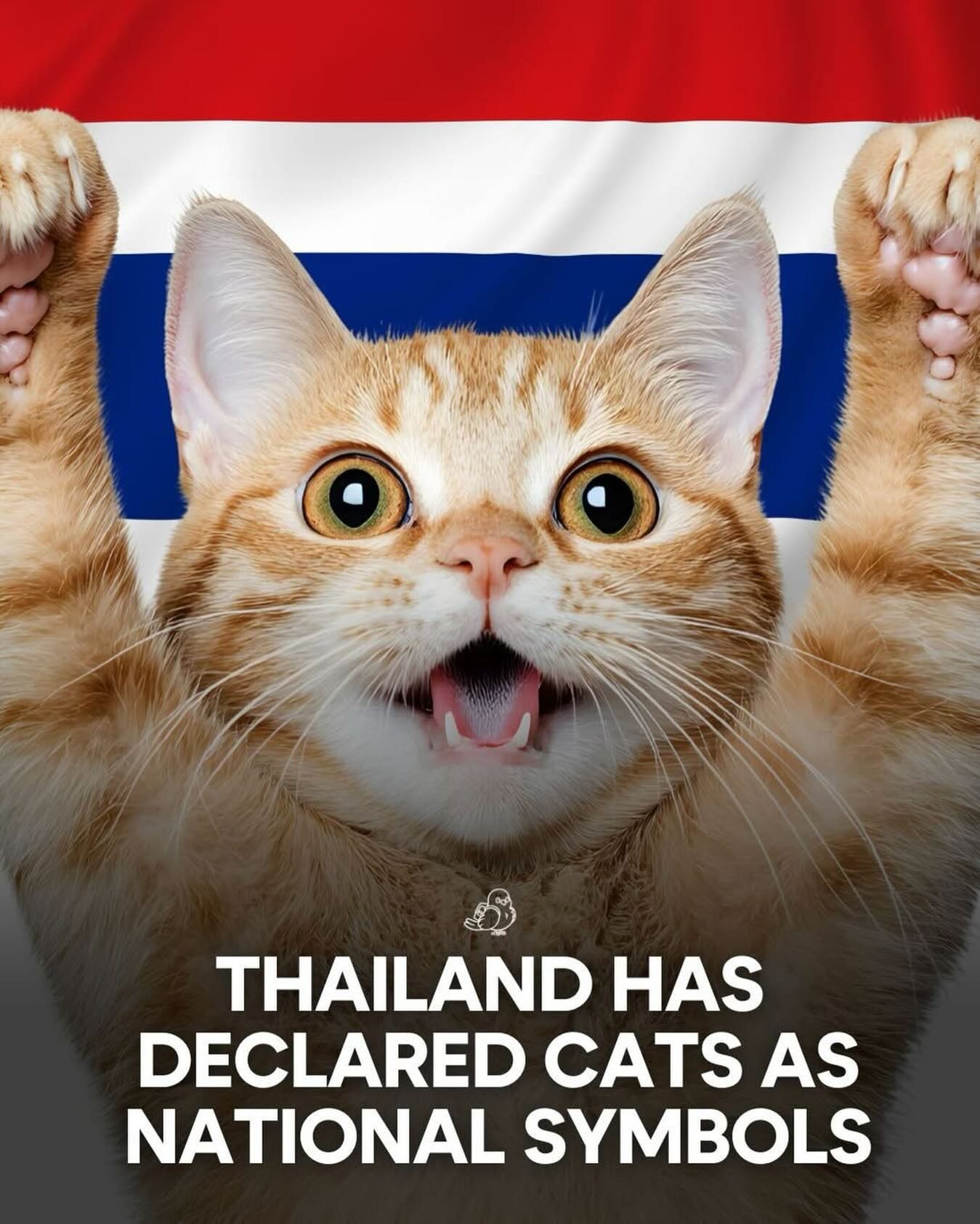 Thailand Honors Cats as National Symbols