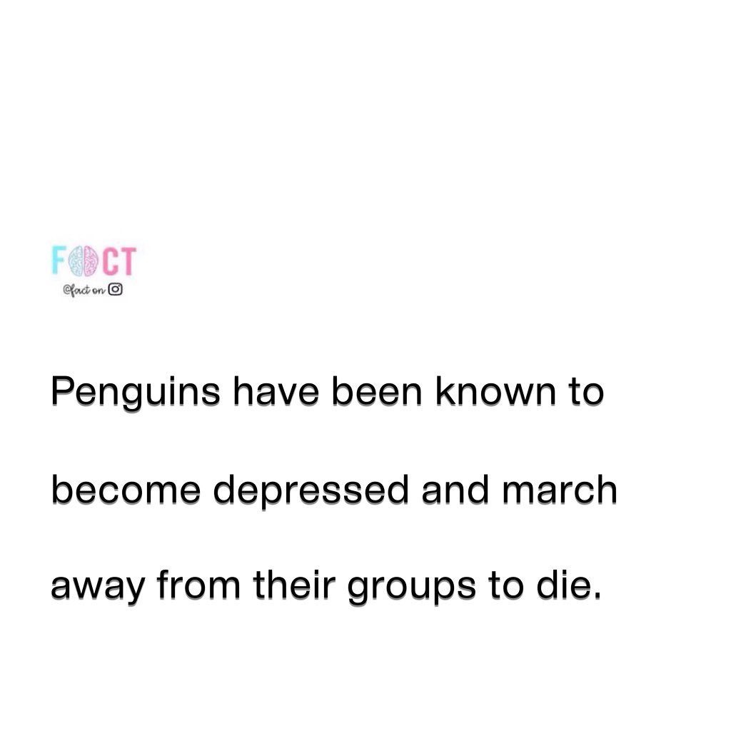 Penguins' Hidden Struggle: Depression and Colony Impact