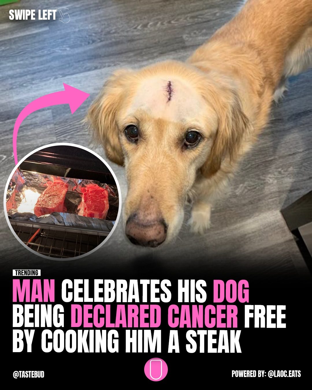 Celebrating Dog's Cancer Recovery with a Reverse-Seared Steak