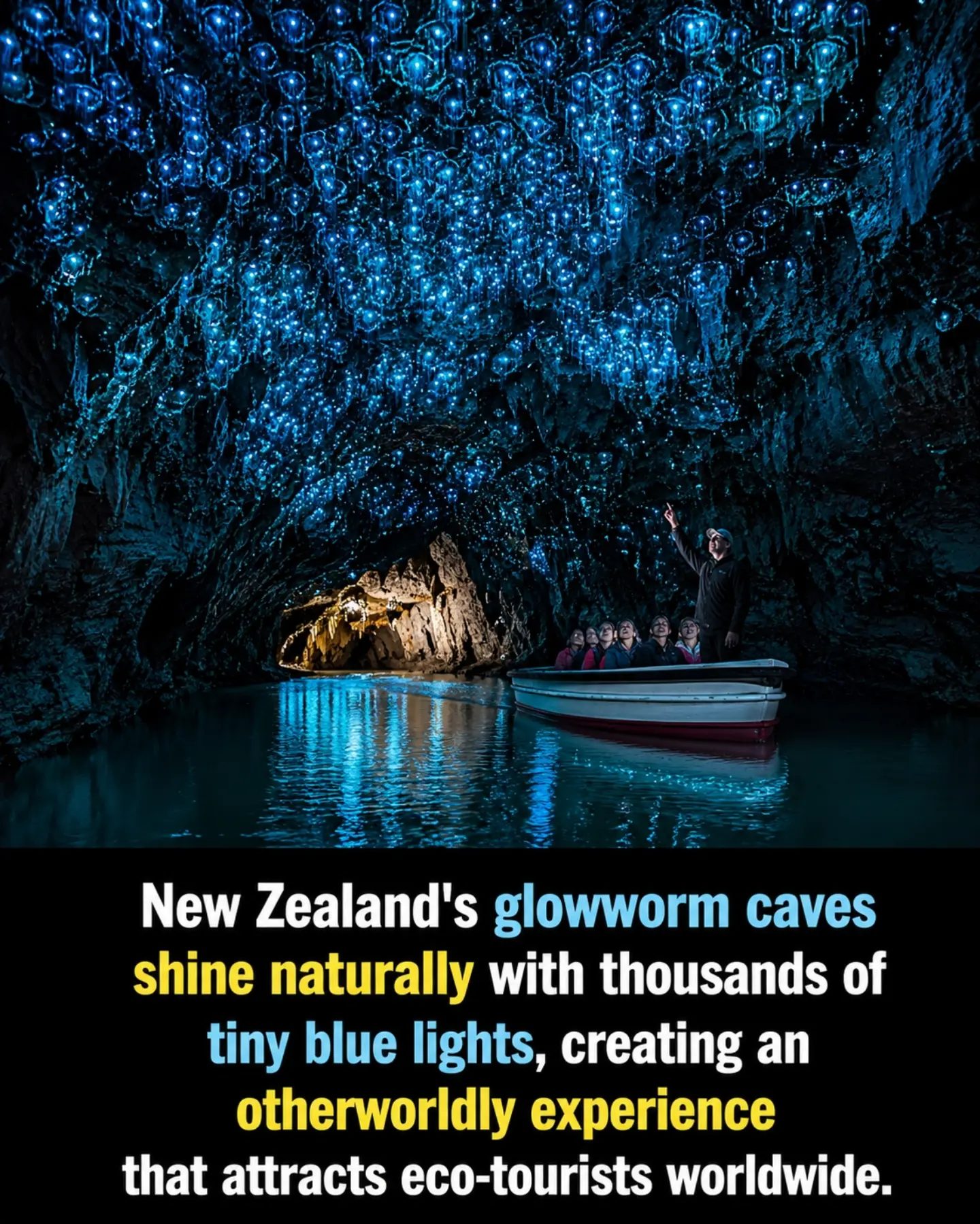 Discover the Magic of New Zealand's Glowworm Caves
