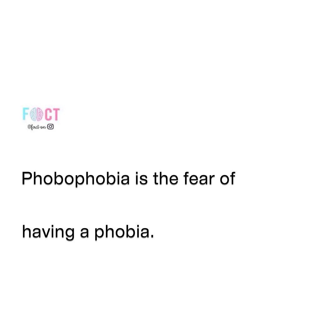 Understanding Phobophobia: The Fear You Didn't Know About
