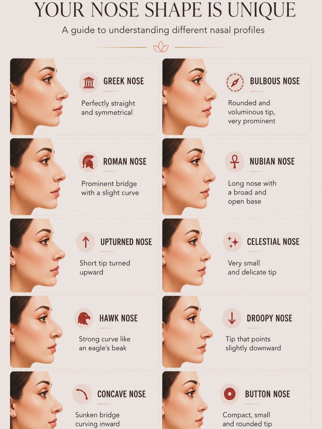 Understanding Different Nose Shapes and Their Characteristics