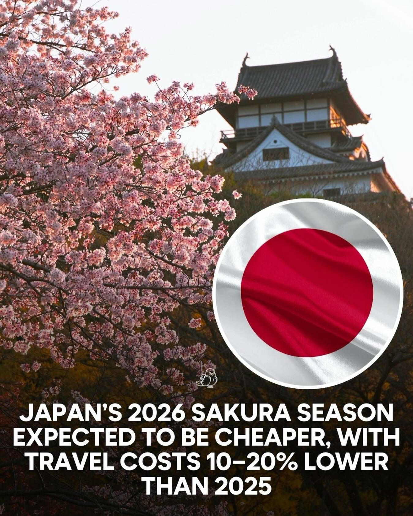 Why 2026 is the Best Year for Affordable Sakura in Japan