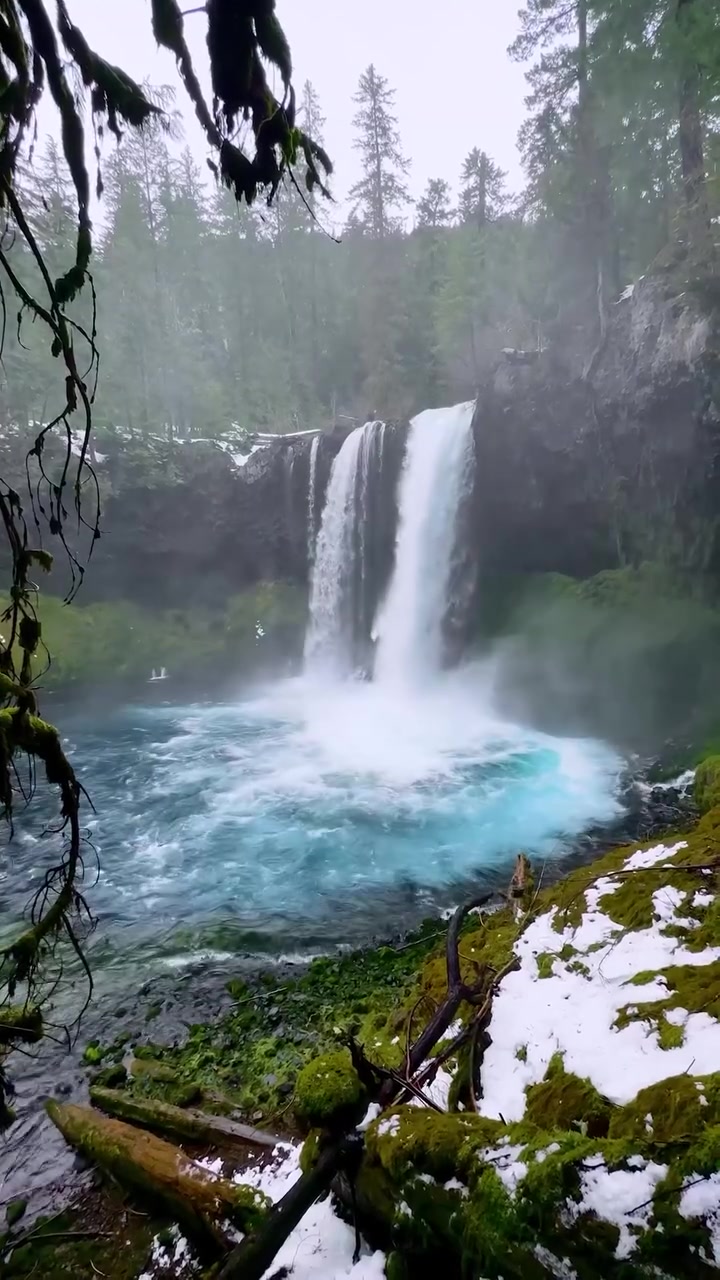 Snowy Waterfall in Misty Forest