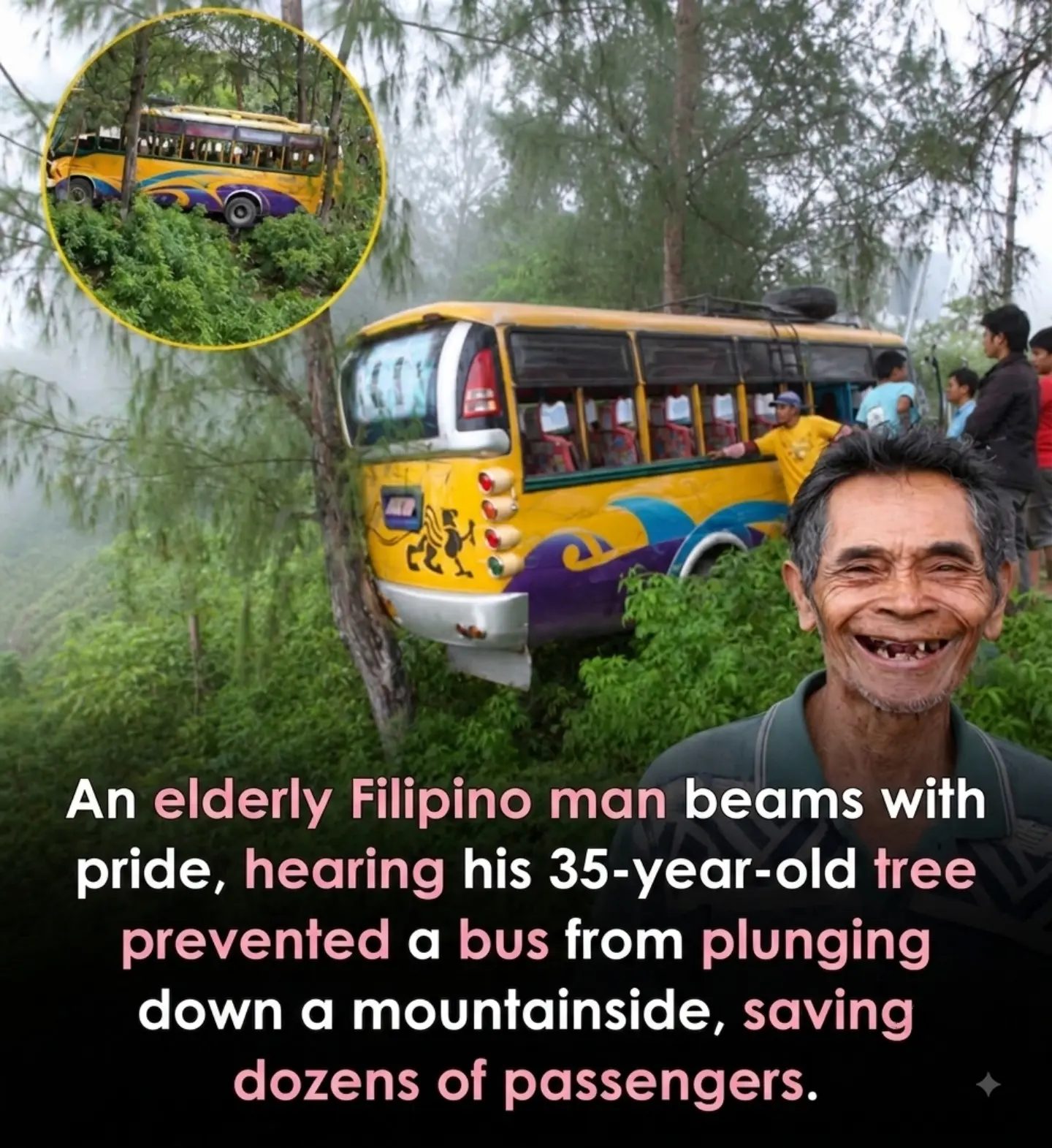 Heroic Filipino Man's Tree Saves Dozens in Bus Rescue