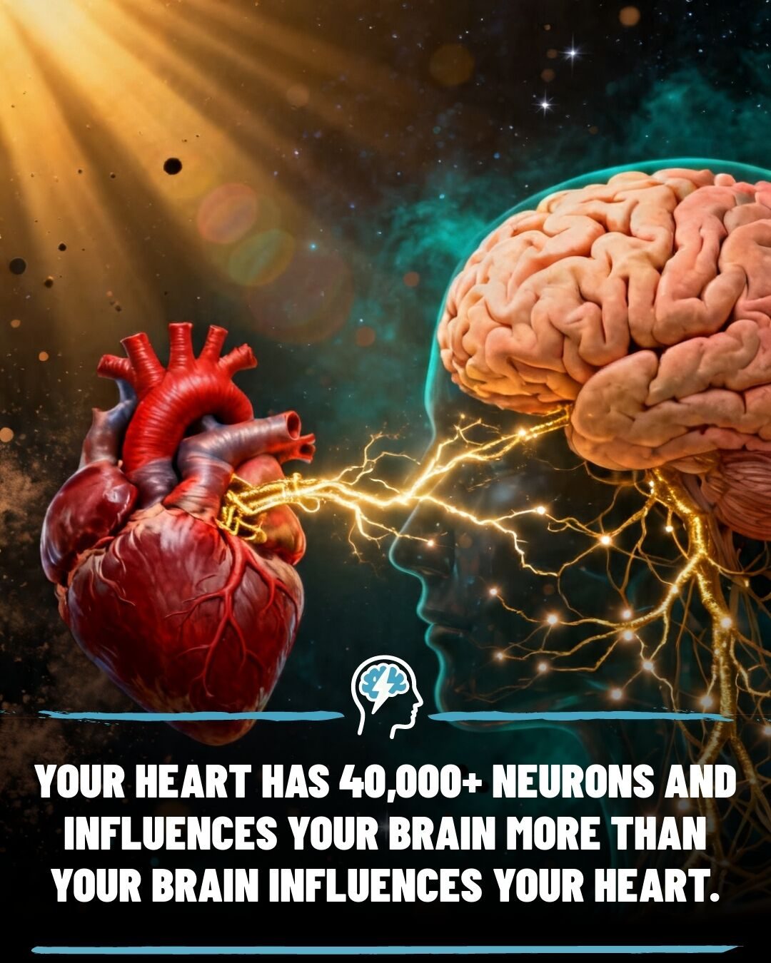 Heart's Hidden Intelligence: The Intrinsic Cardiac Nervous System