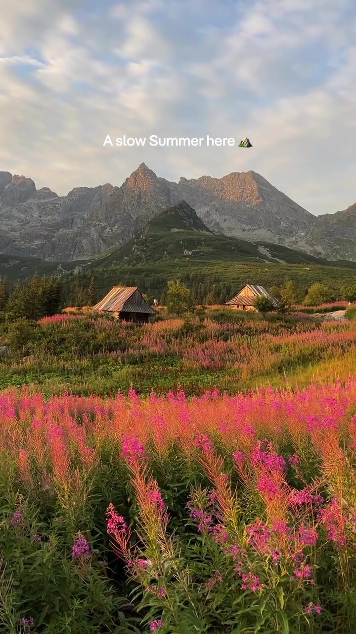 Discover the Serene Beauty of Hala Gąsienicowa in Poland's Tatra Mountains