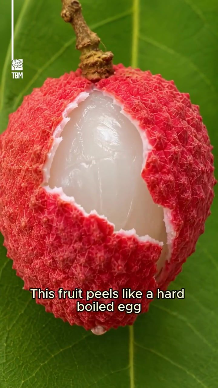 Learn About Lychee: Nutrition, Taste, and History