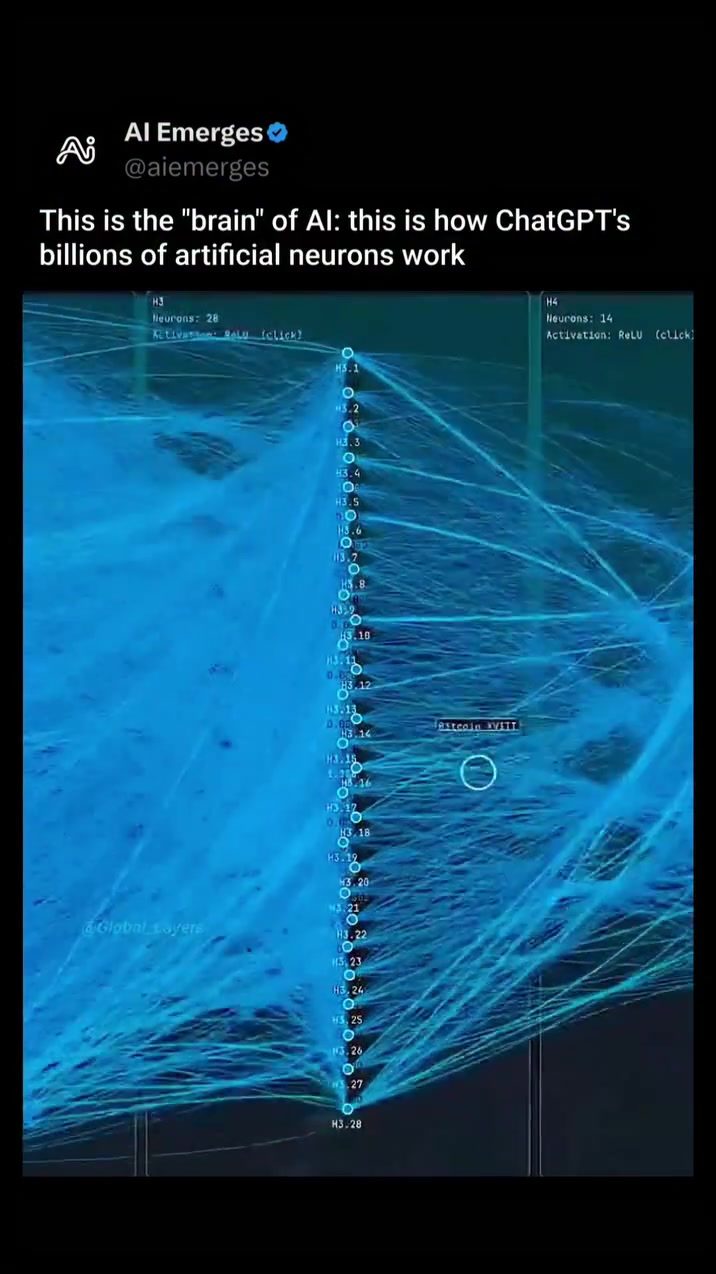 Exploring the Hidden Architecture of AI Neural Networks