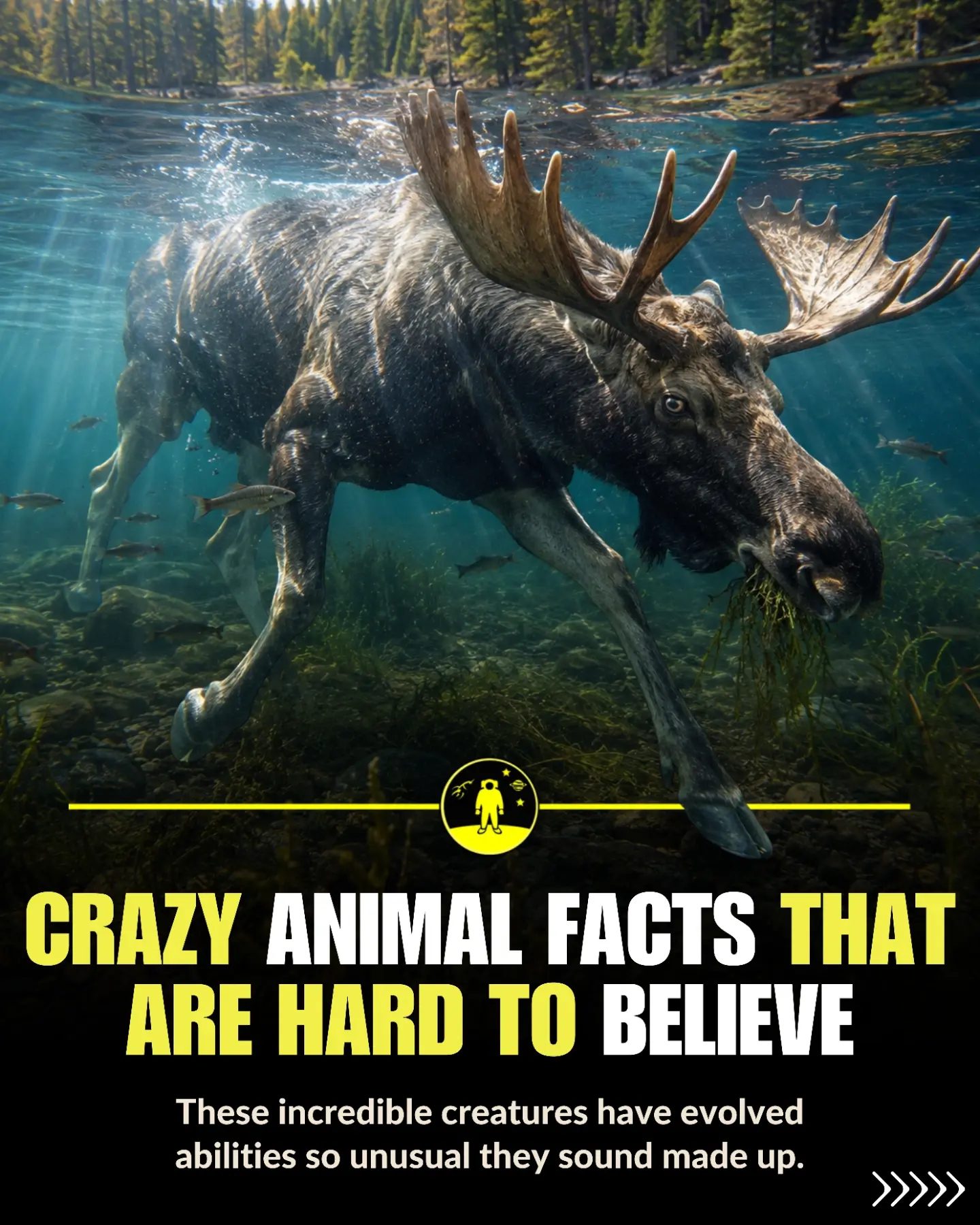 **Incredible Animal Adaptations: A Closer Look**