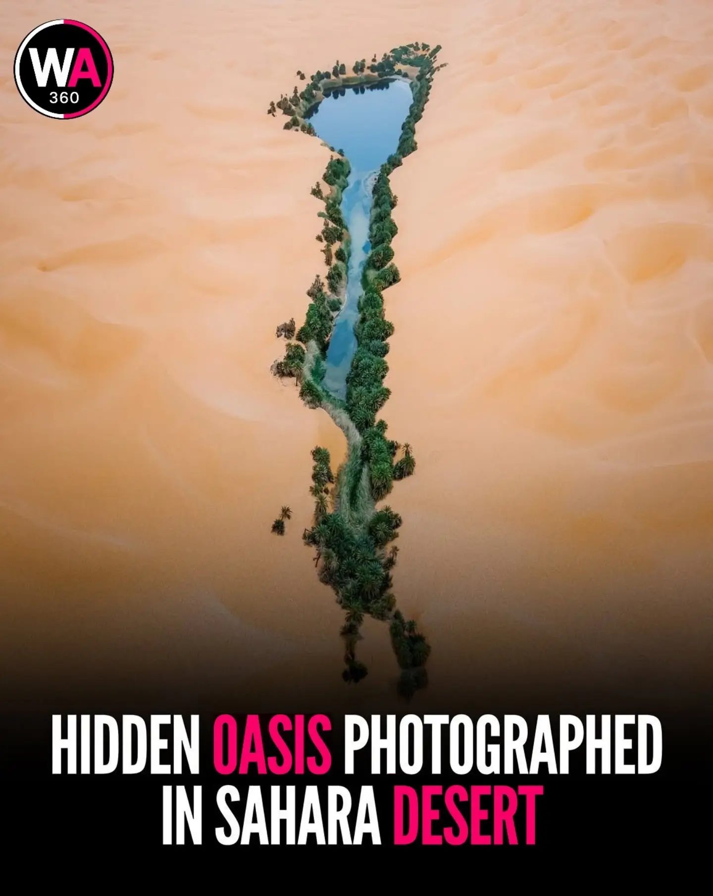 Discover the Hidden Oasis in the Heart of the Sahara