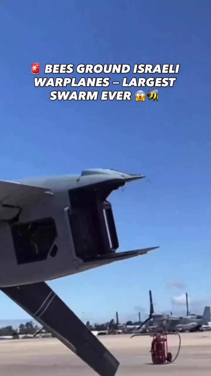 Military Aircraft Grounded by Massive Bee Swarm