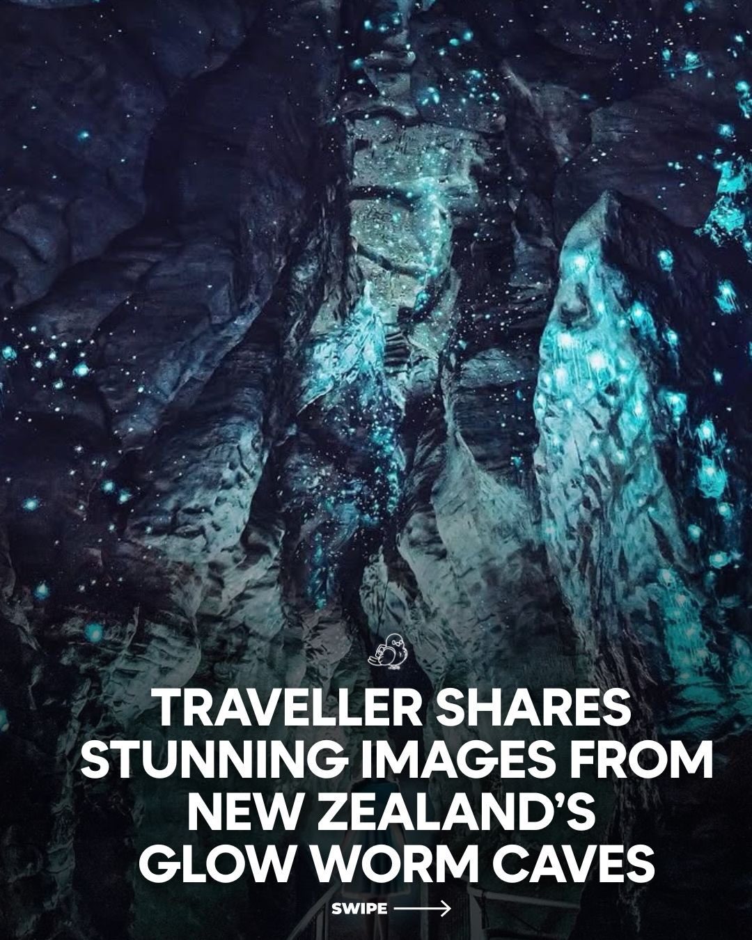 Explore New Zealand's Enchanting Glow Worm Caves