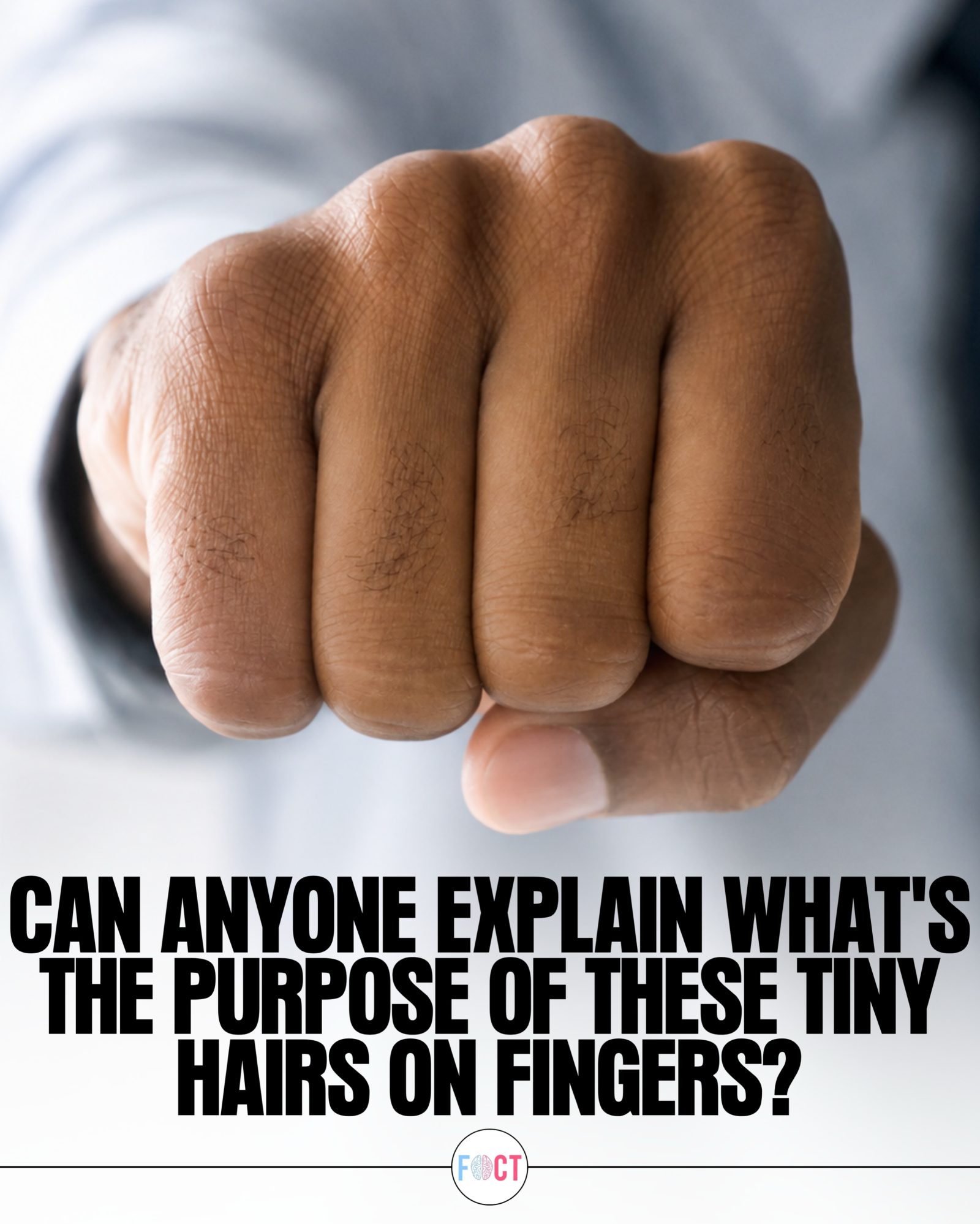 The Truth About Tiny Finger Hairs You Never Noticed