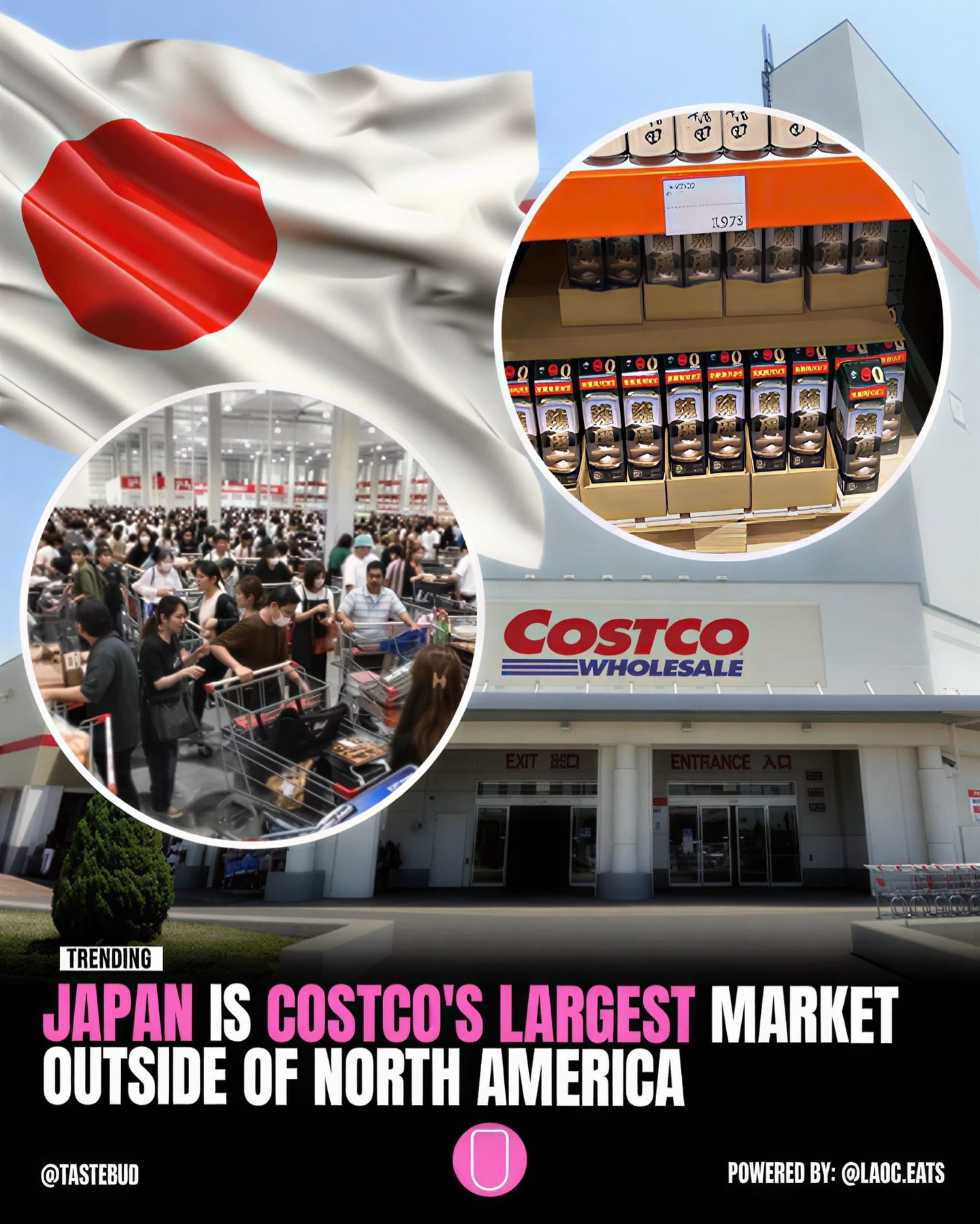 Costco’s Strategic Adaptation in Japan: Mastering a New Market
