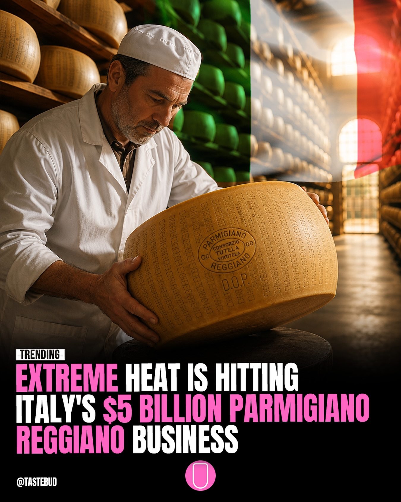 Heat Waves Threaten Italy's Iconic Parmigiano Reggiano Cheese Industry