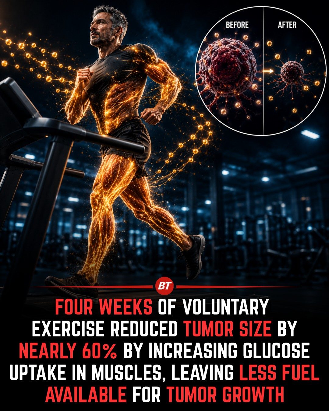 Exercise May Reduce Tumor Growth by Changing Energy Use