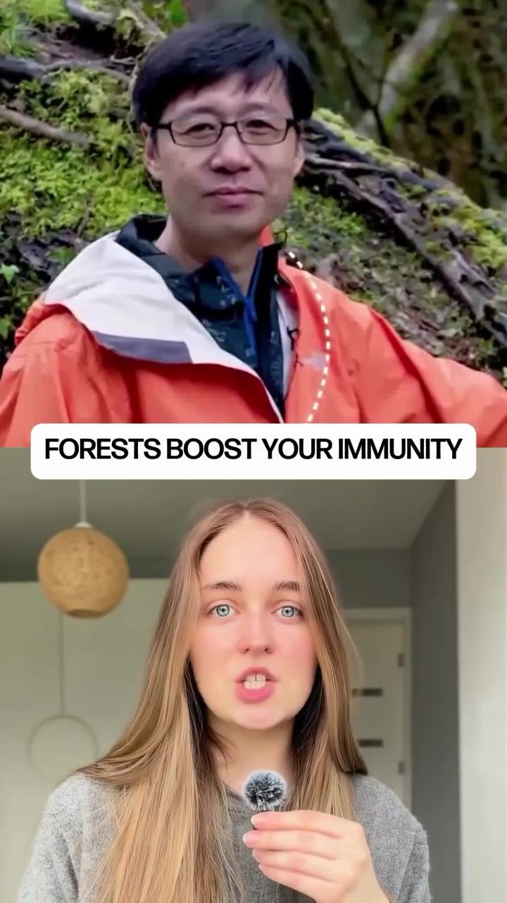 Forest Walks Boost Your Immune System for 30 Days