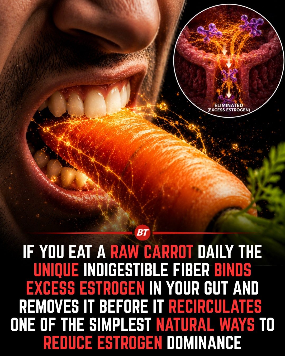 Raw Carrots: A Natural Way to Balance Estrogen Levels