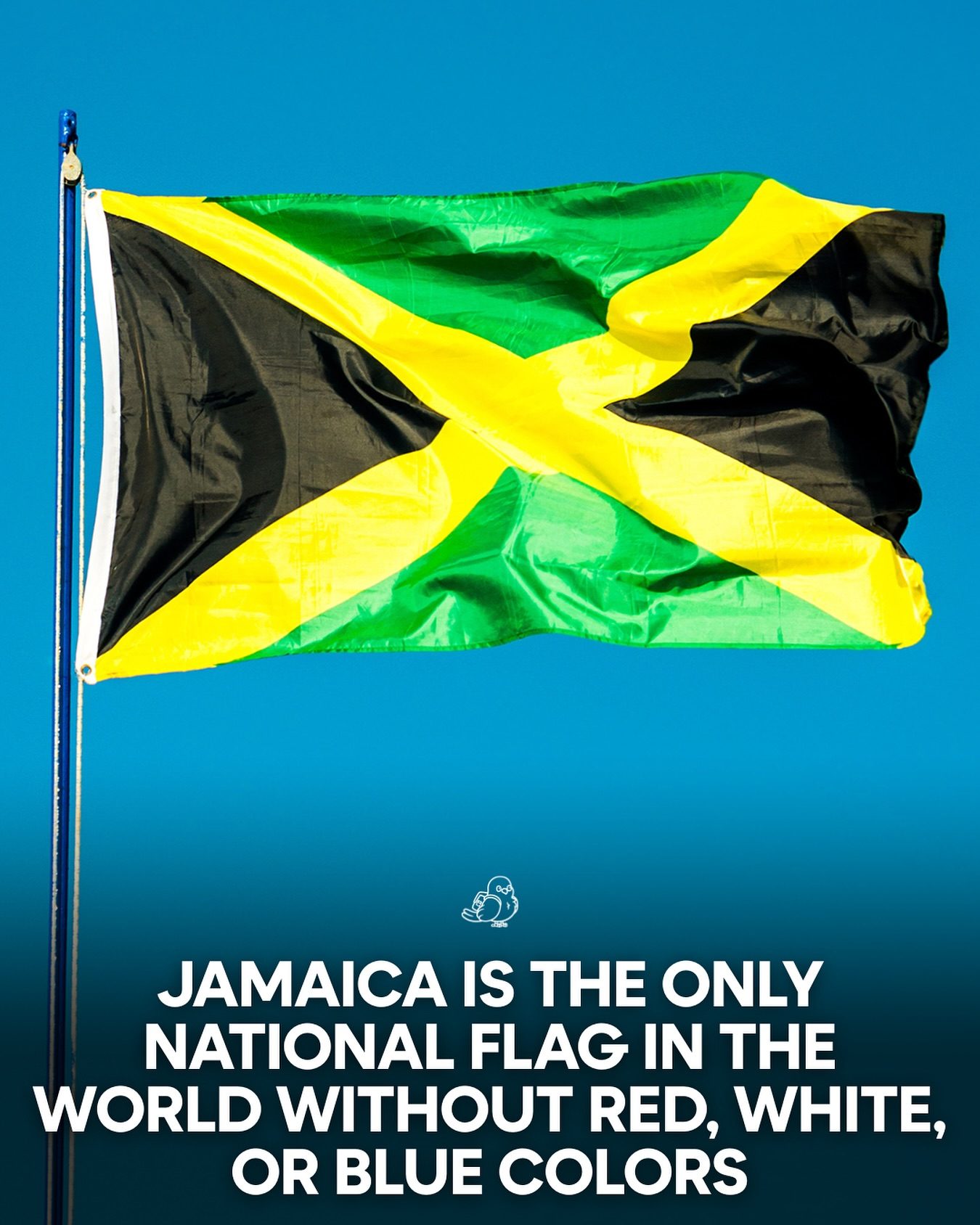 Jamaica's Flag: Why It Stands Out with Unique Colors