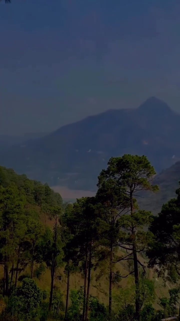 Exploring the Scenic Trails of Mountain Landscapes