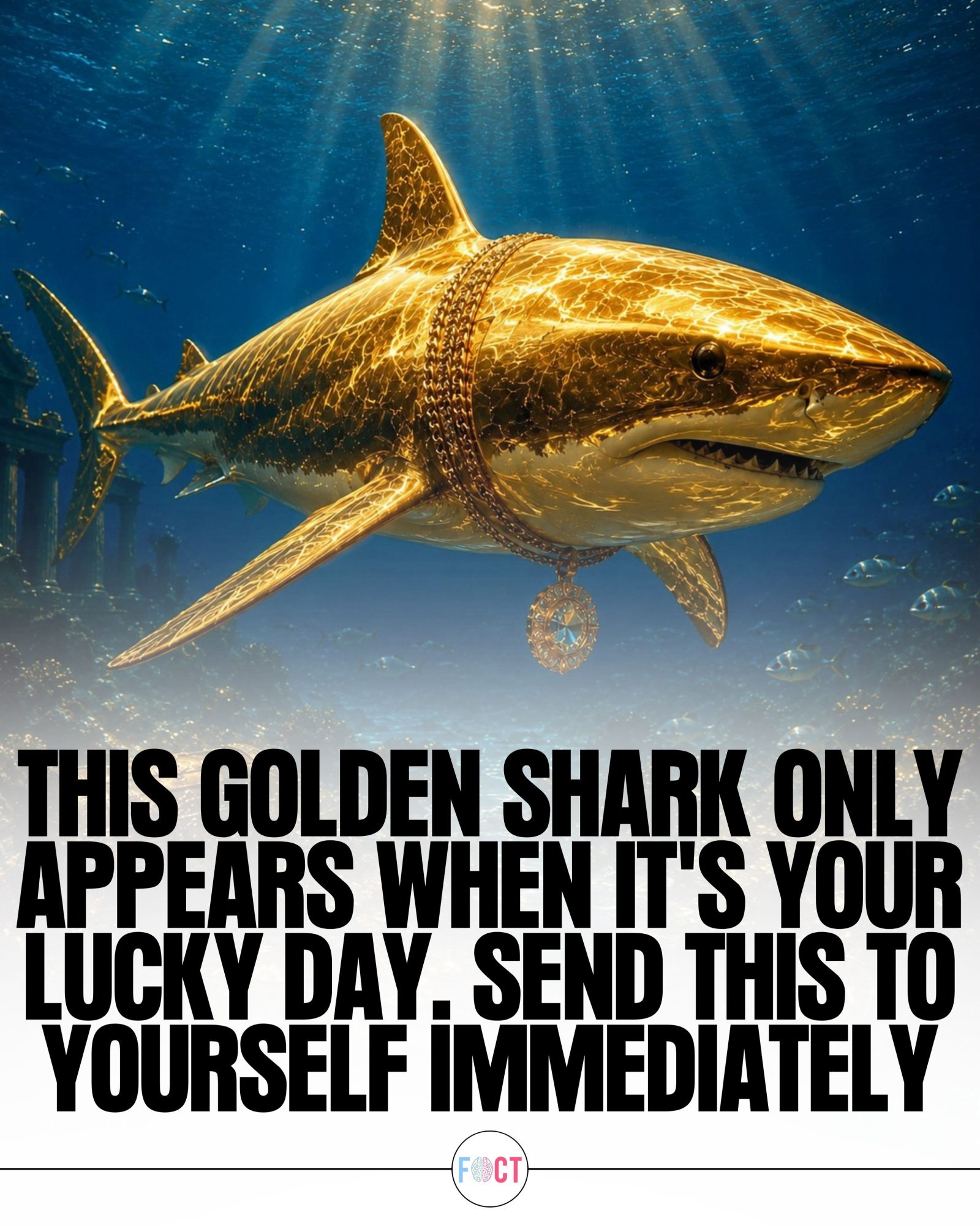 Unlock Your Luck: The Golden Shark Meme