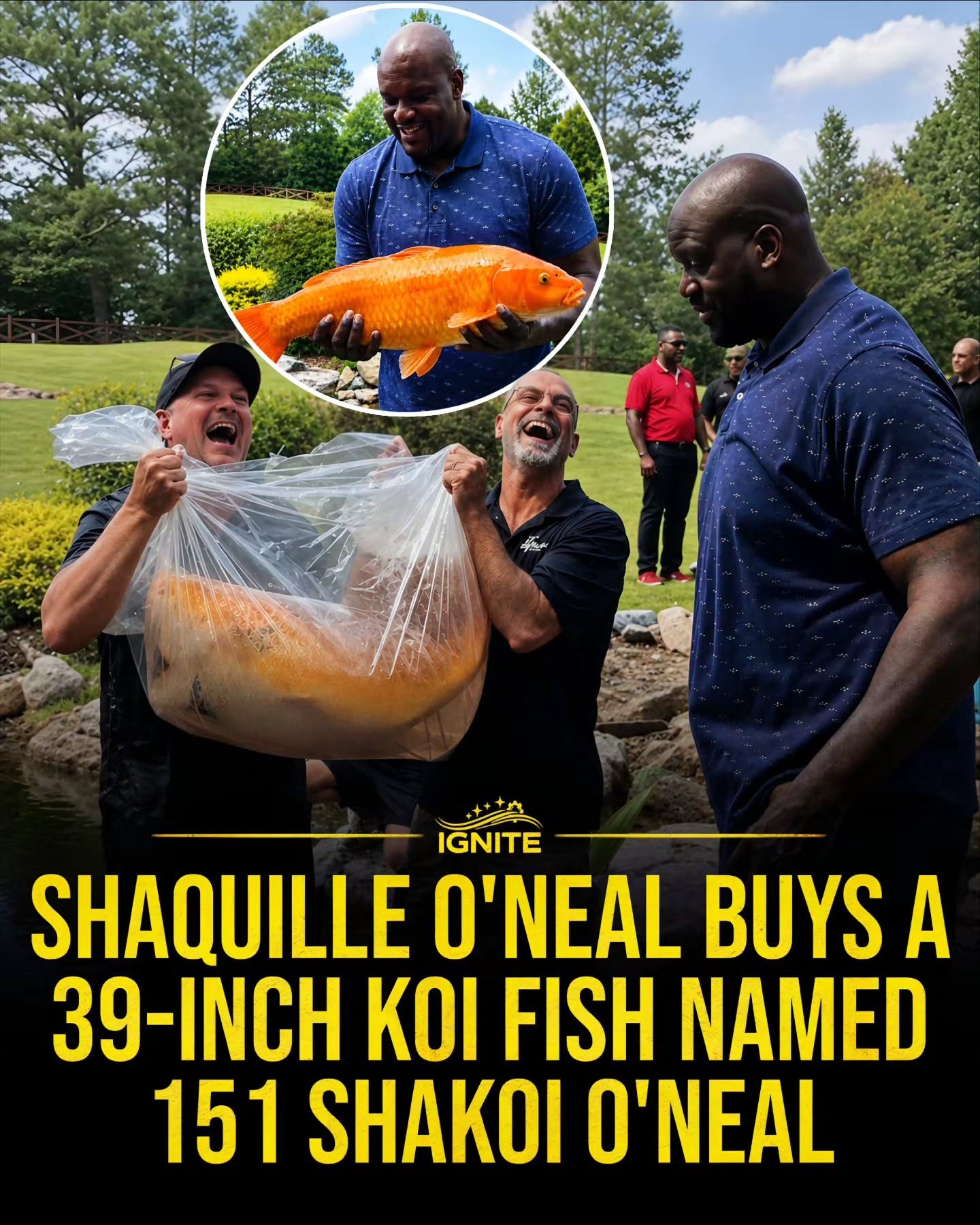 Shaquille O'Neal's Giant Koi Fish Purchase Sparks Fascination