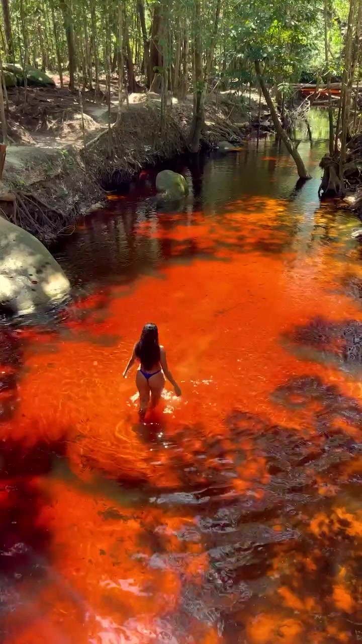 Woman Walking in Vibrant Red Stream in Forest