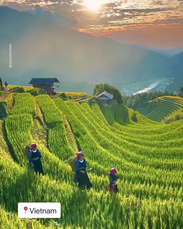Affordable Adventures in Vietnam: Rice Terraces and the Golden Bridge