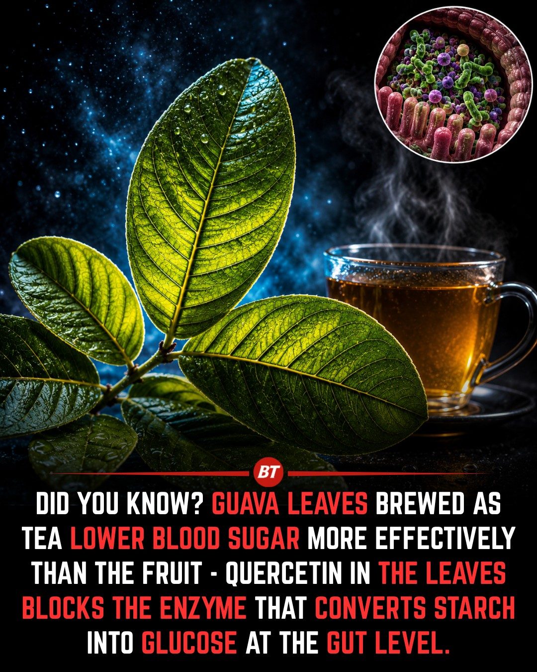 Guava Leaf Tea: A Natural Way to Lower Blood Sugar