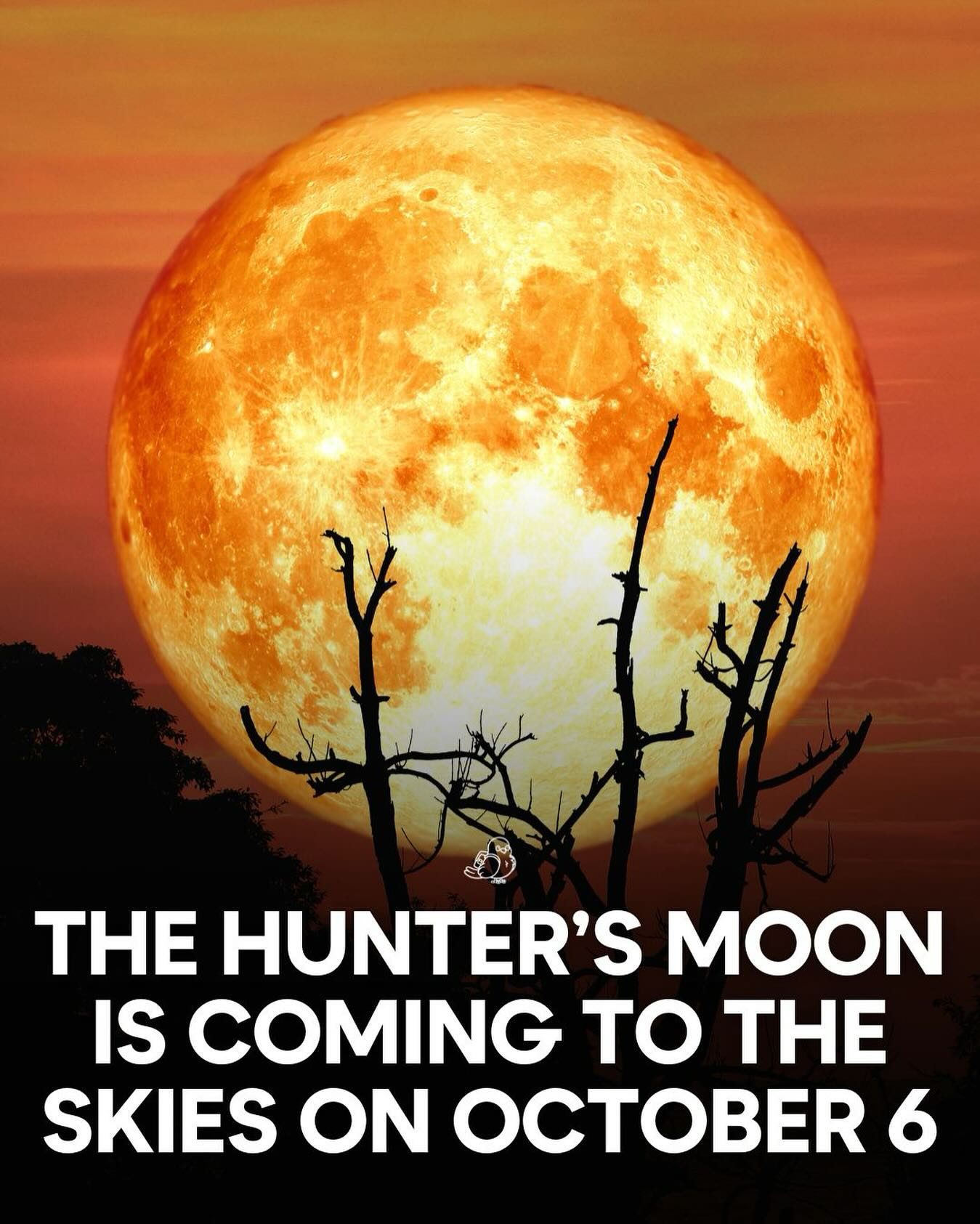Watch the Hunter's Moon Light Up the Sky on October 6