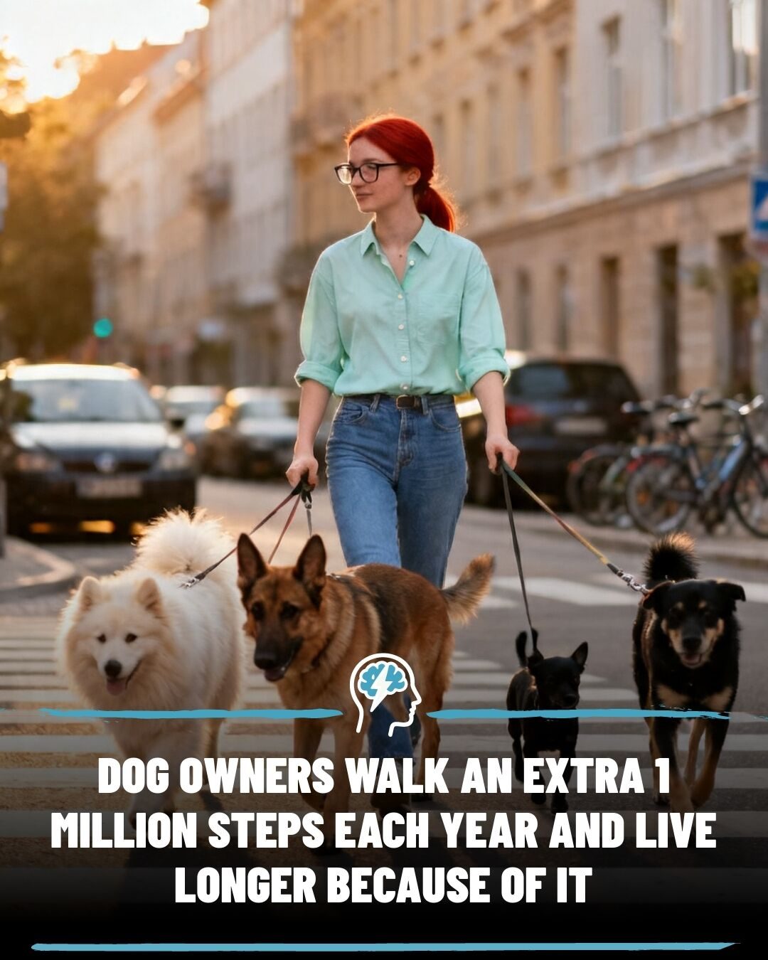 How Dogs Boost Your Health: Benefits of Dog Walking