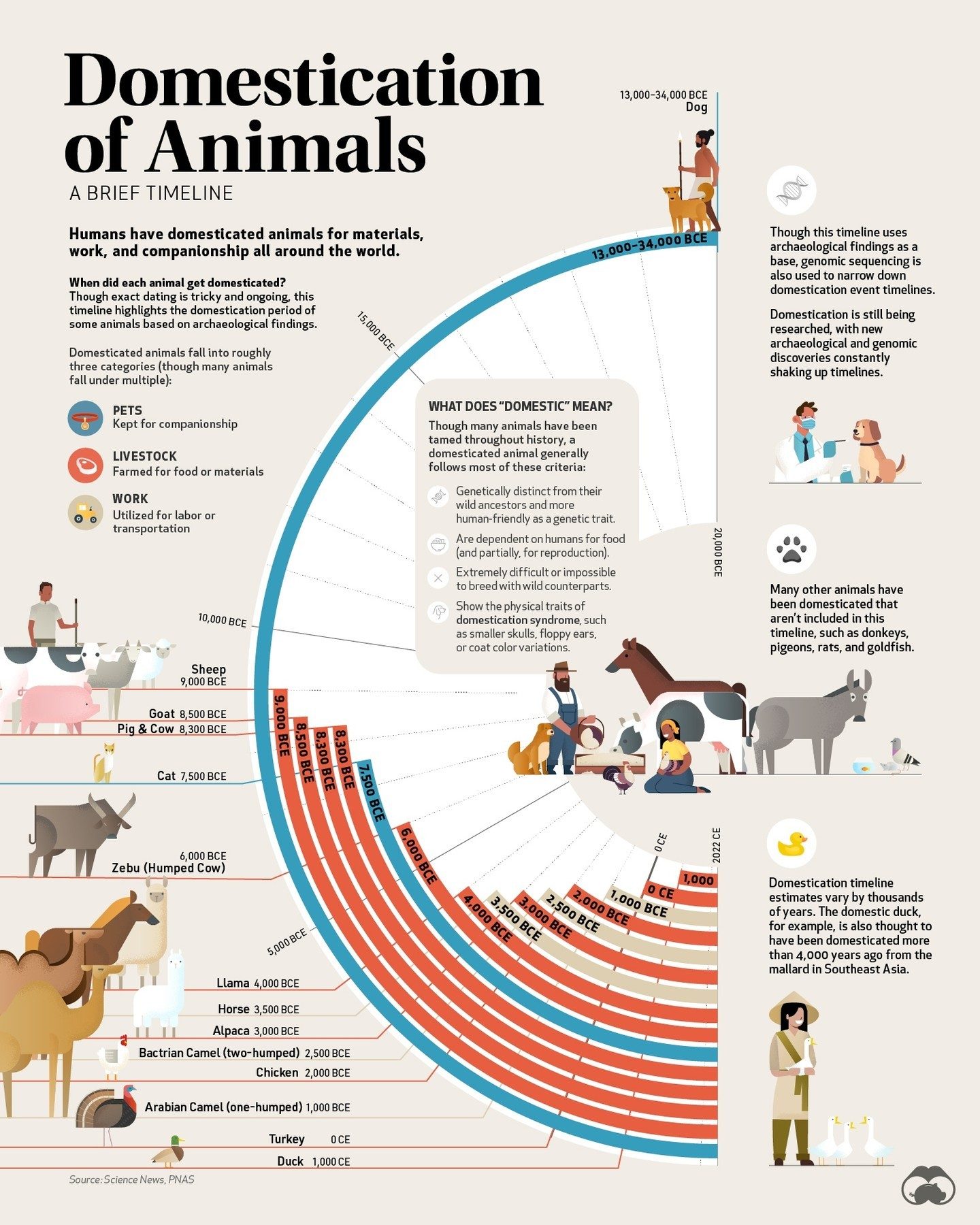 The Evolution of Animal Domestication: A Timeline of Key Events